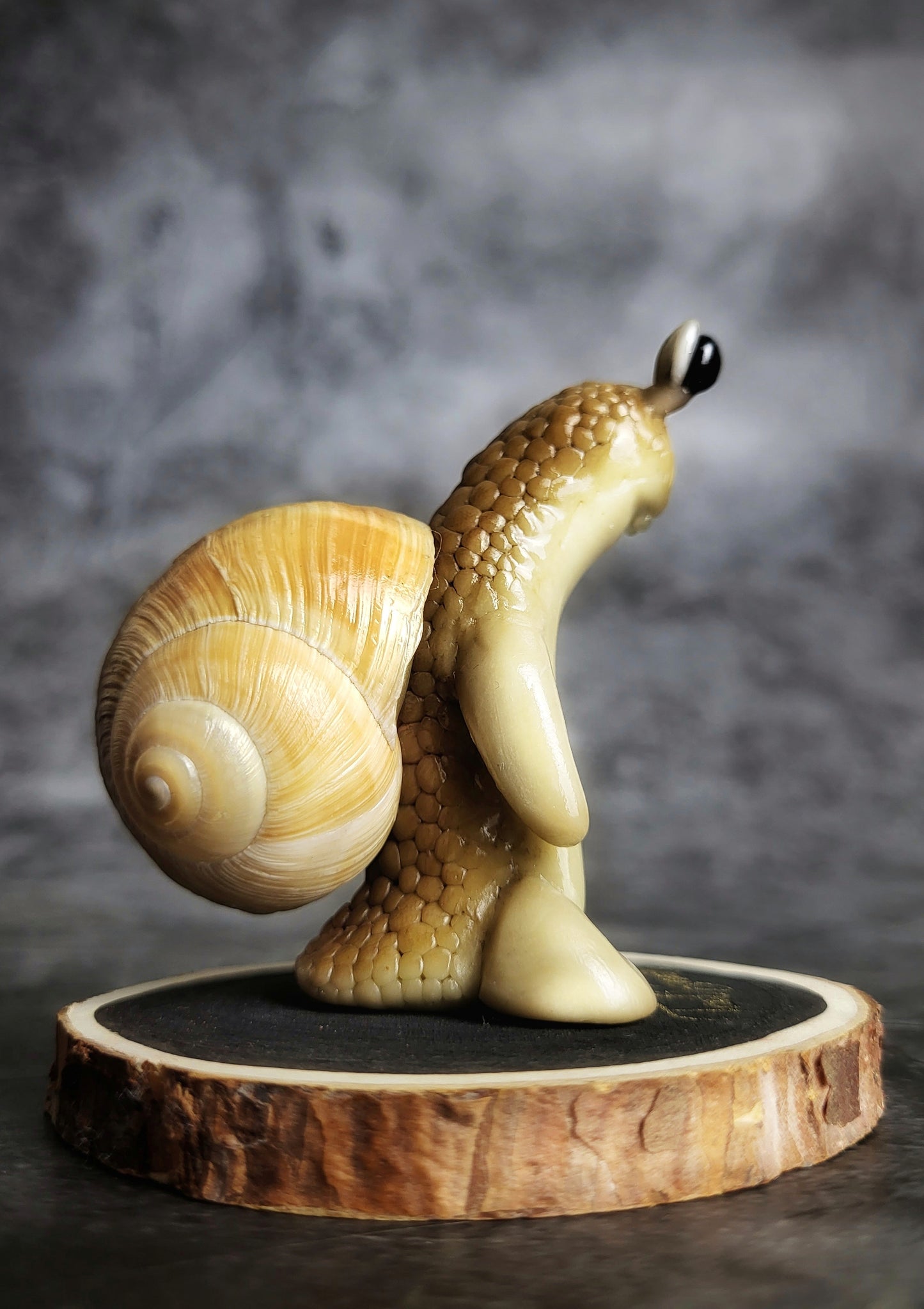 Anatomical - TrailSnailz Mystical Snail Sculpture