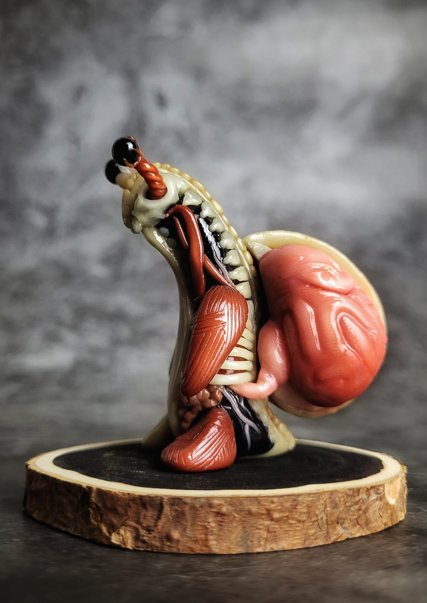 Anatomical - TrailSnailz Mystical Snail Sculpture