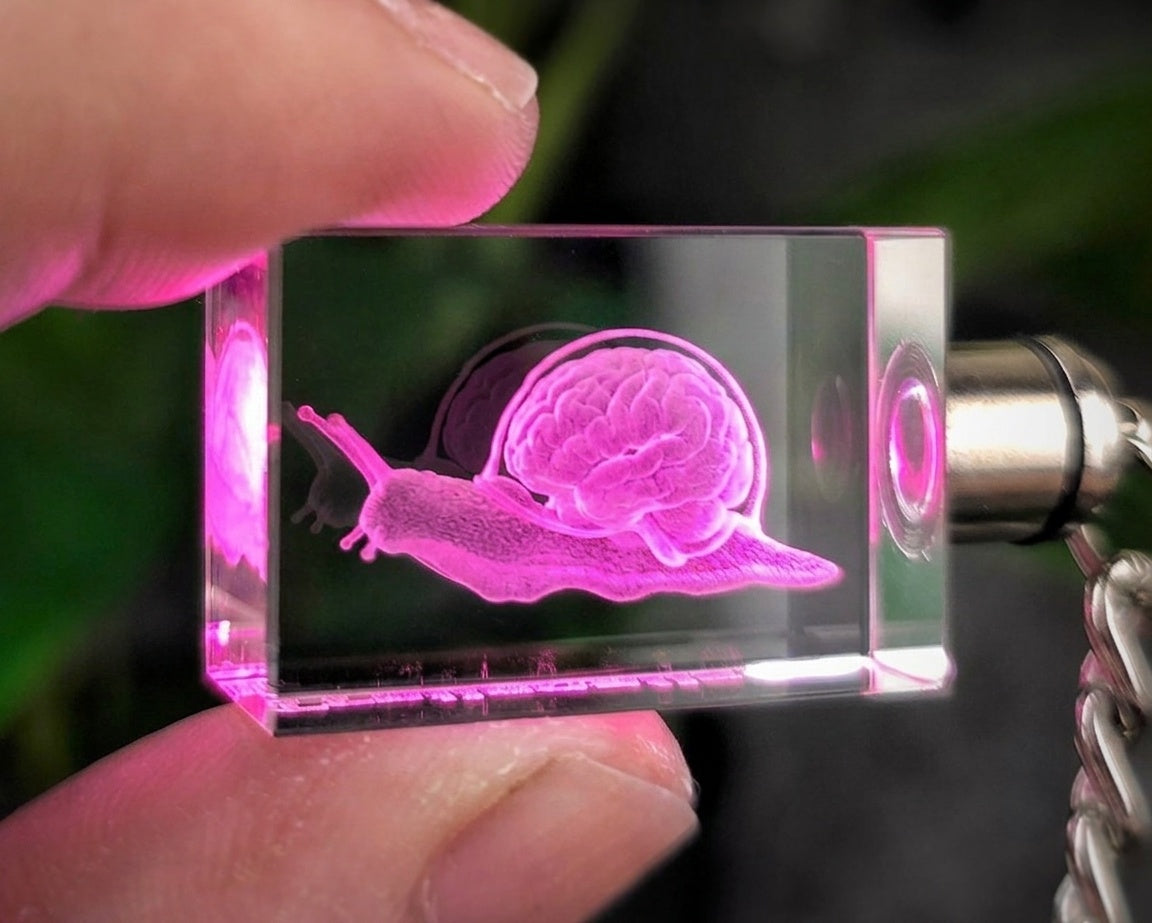 TrailSnailz Anotomy LED Crystal Keychain