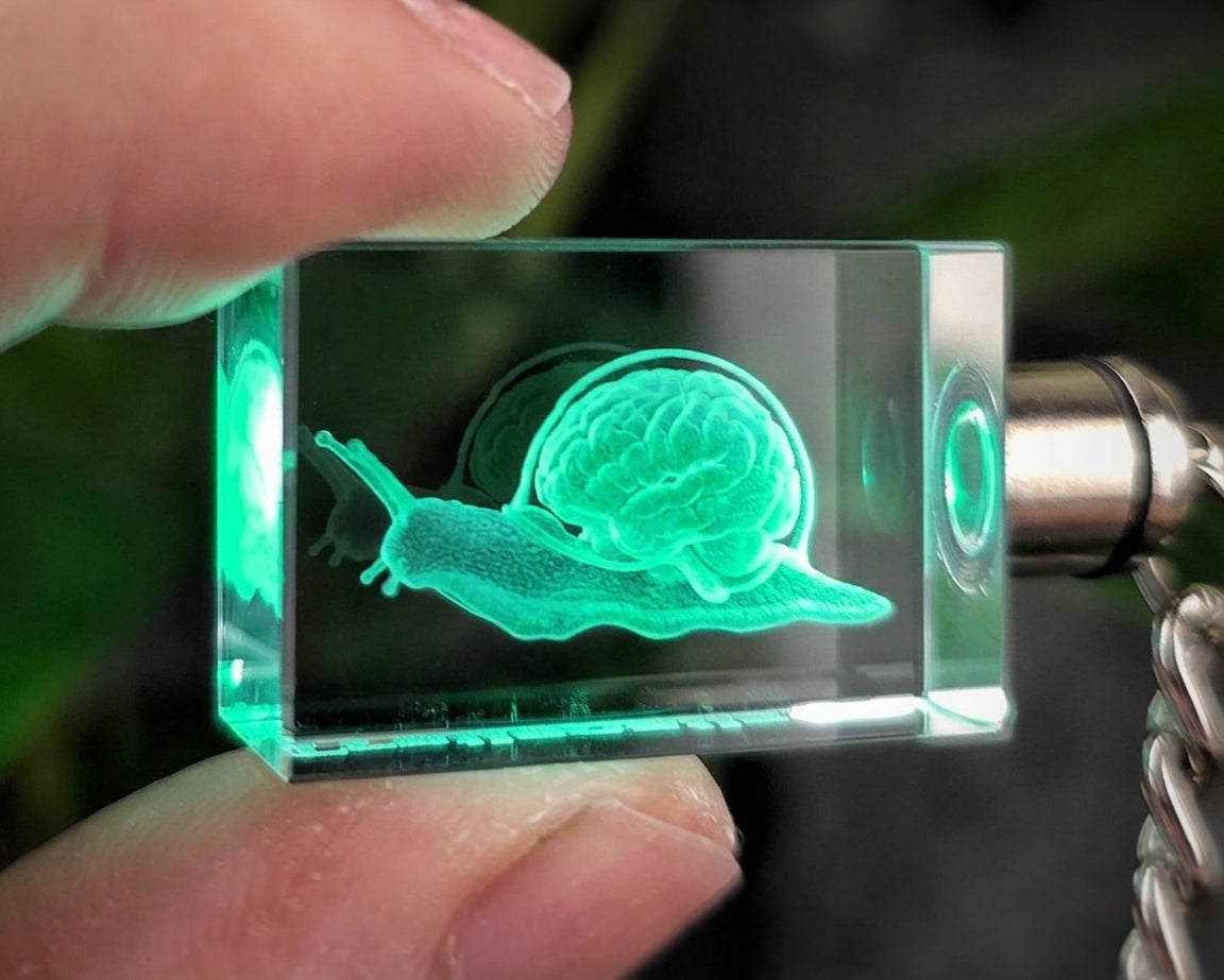 TrailSnailz Anotomy LED Crystal Keychain