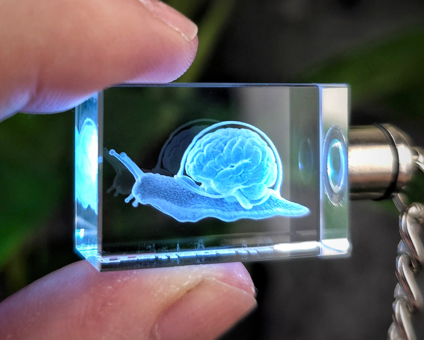 TrailSnailz Anotomy LED Crystal Keychain