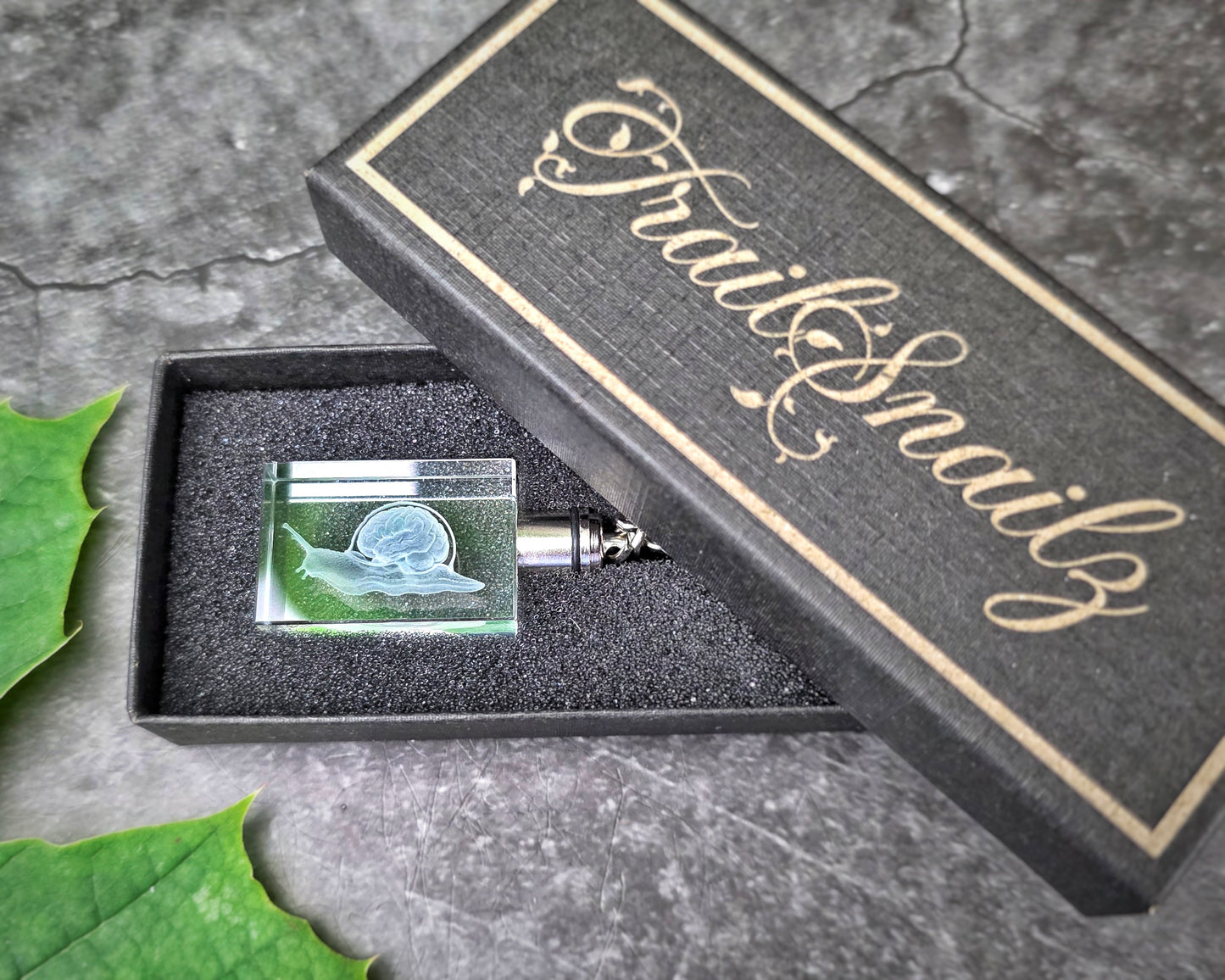 TrailSnailz Anotomy LED Crystal Keychain