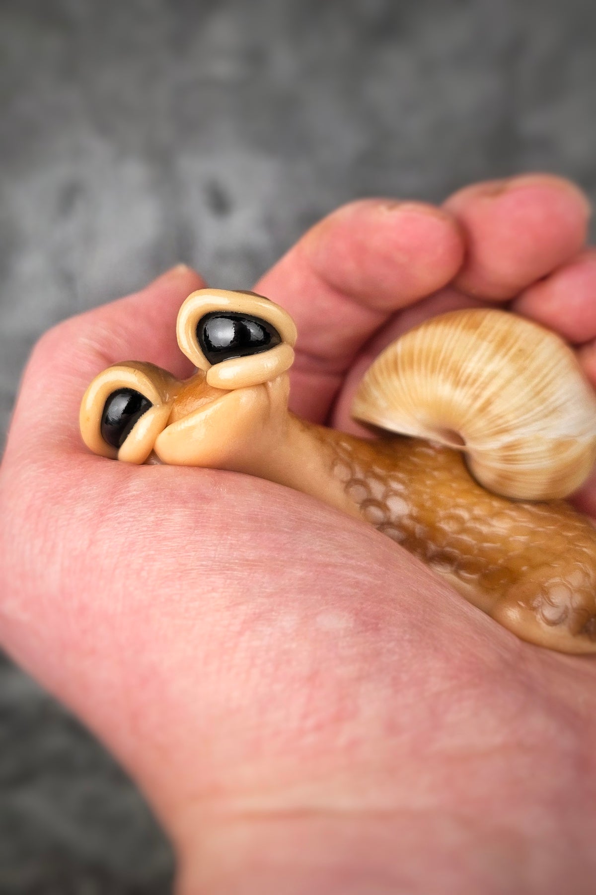 Snoodle - TrailSnailz Mystical Snail Sculpture