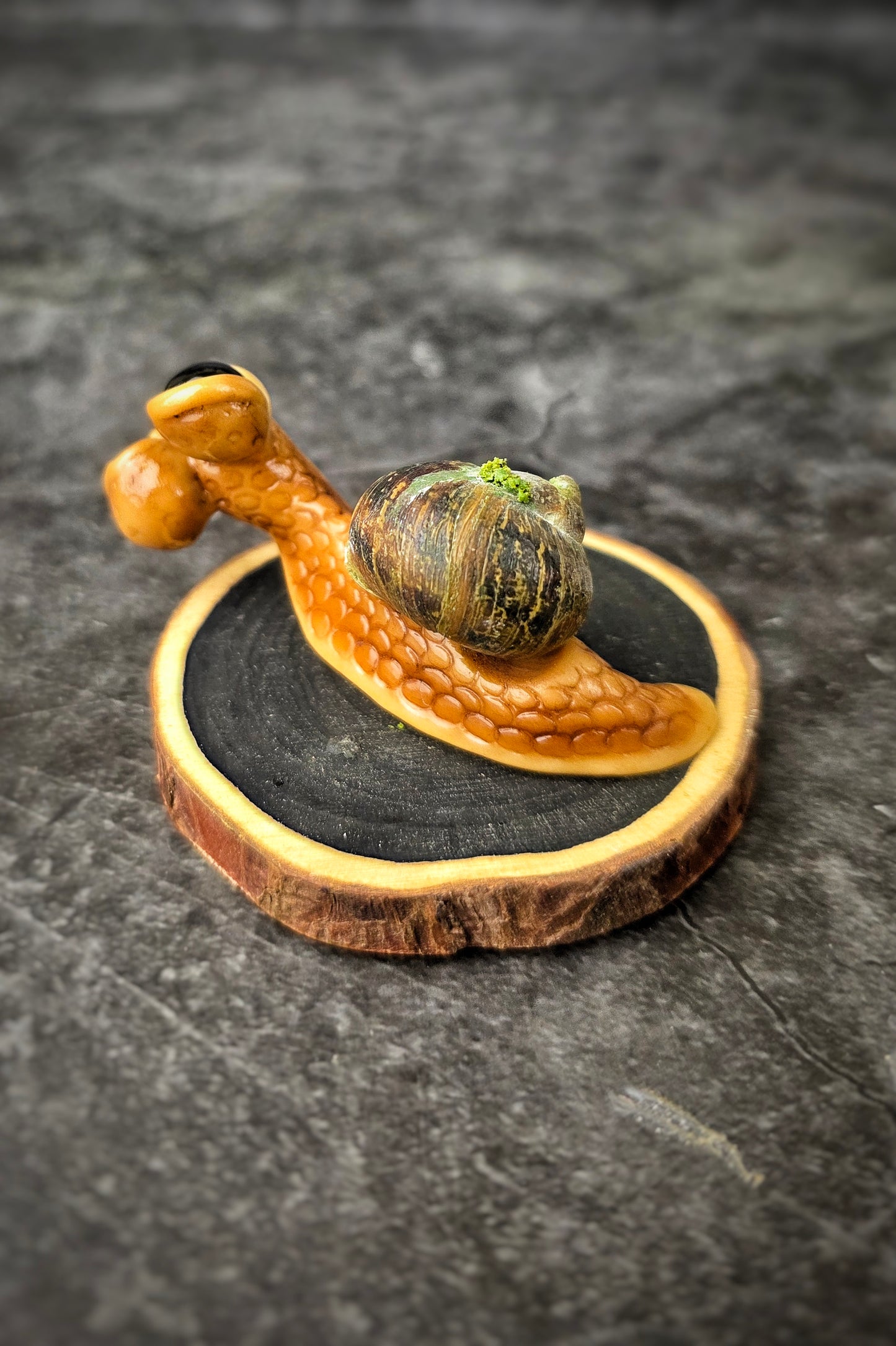 Rusk - TrailSnailz Mystical Snail Sculpture