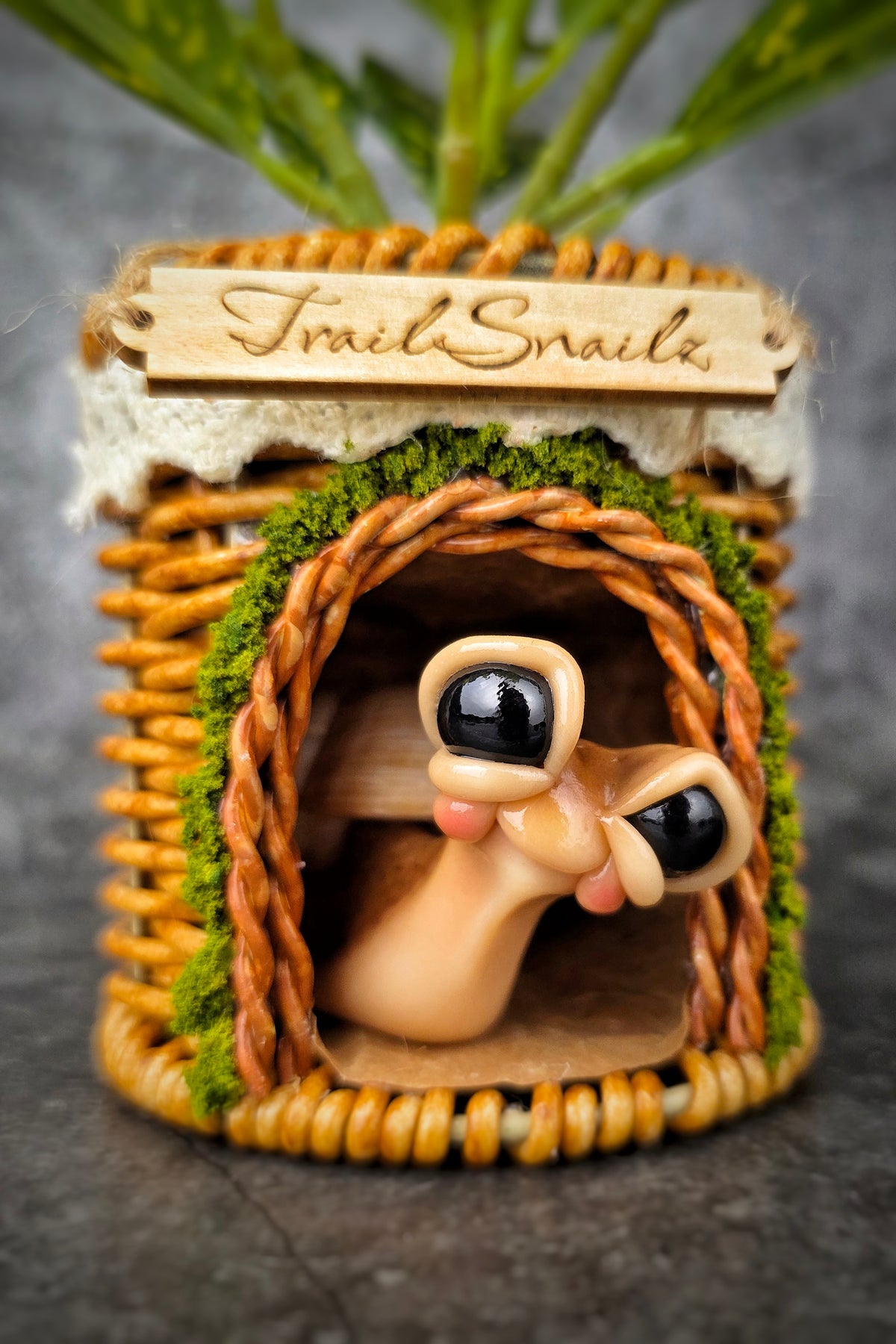 Myrtle - TrailSnailz Mystical Snail Sculpture
