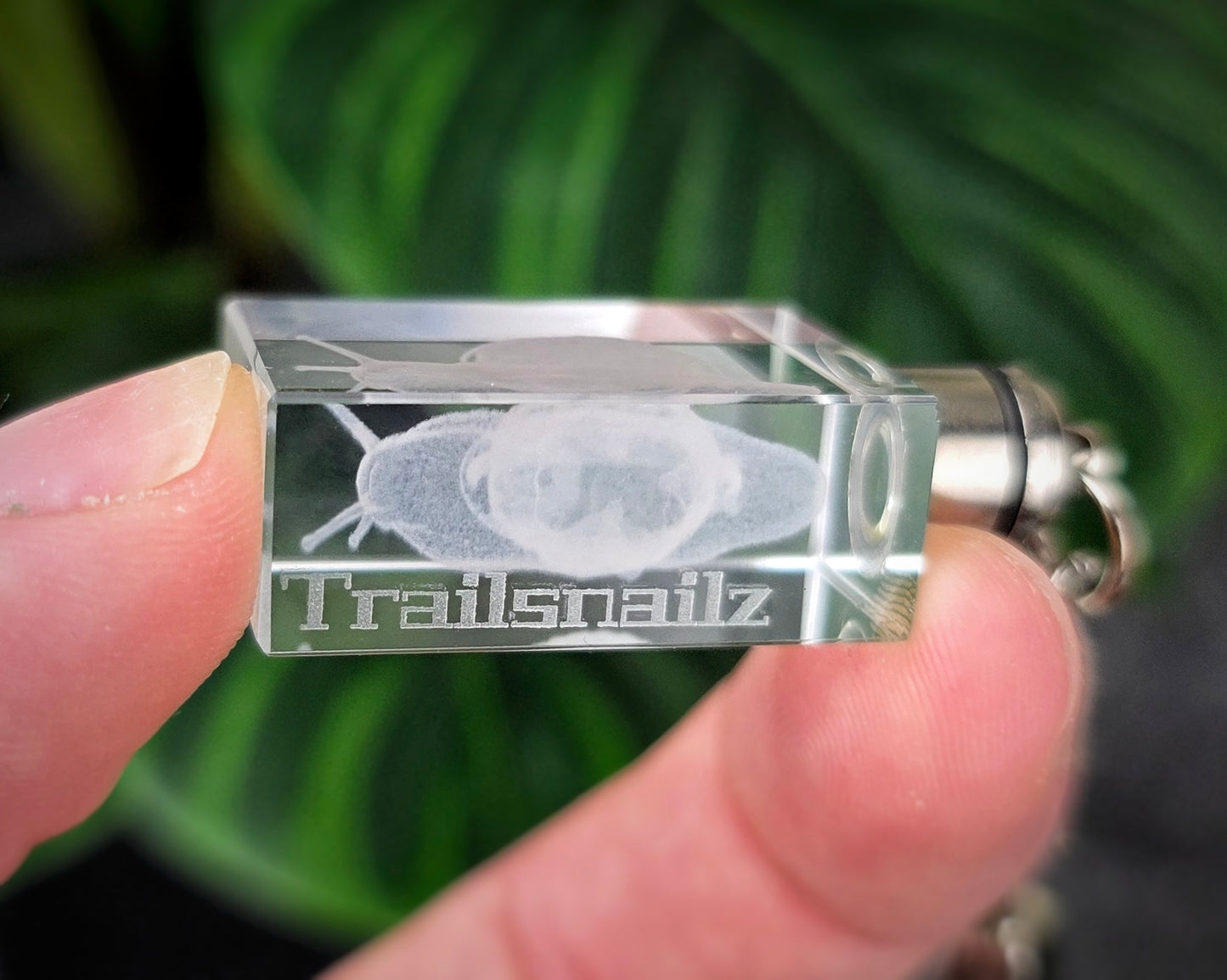 TrailSnailz Anotomy LED Crystal Keychain