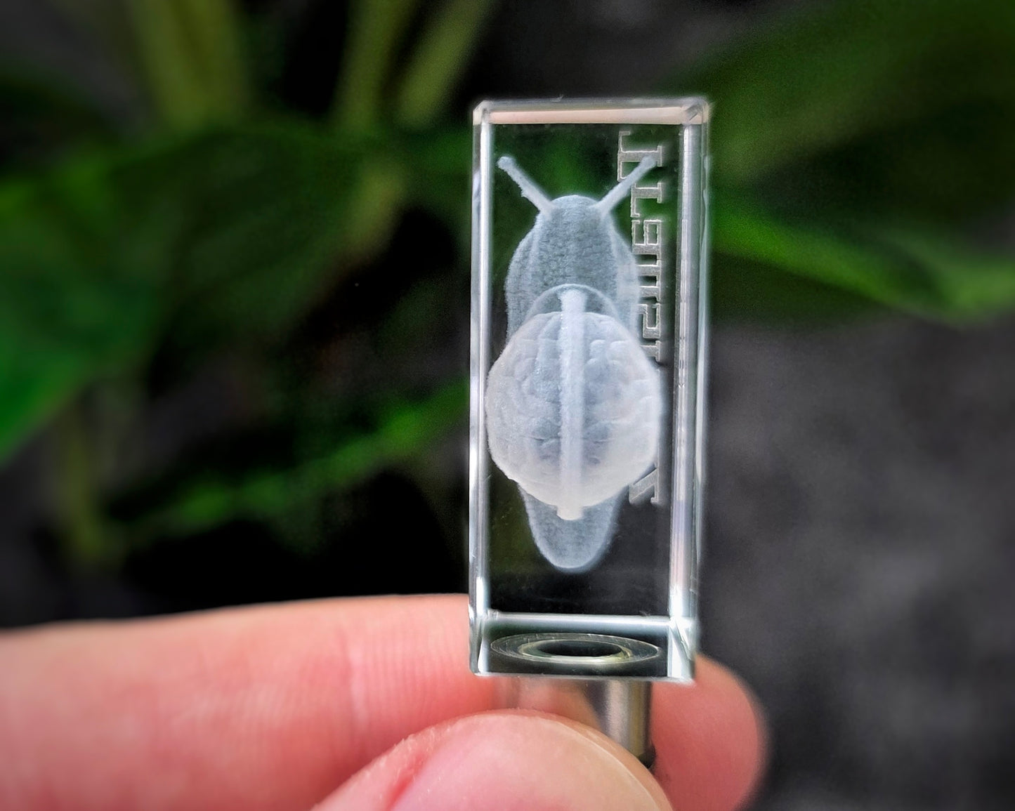 TrailSnailz Anotomy LED Crystal Keychain